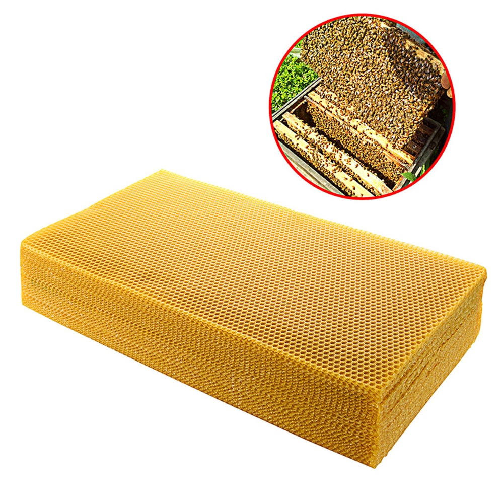 30pcs Beekeeping Tool Bee Beehive Nest Wax Beeswax Tablets Golden Bee Beeswax